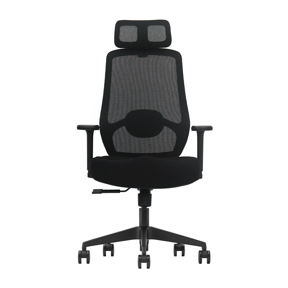 Silla de Oficina Profesional Ergonómica Ultimate Evox C22